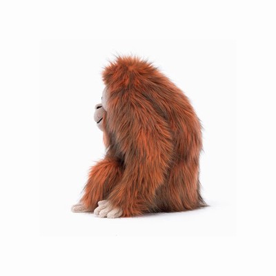 Jellycat Oswald Orangutan Australia | 650192JAR